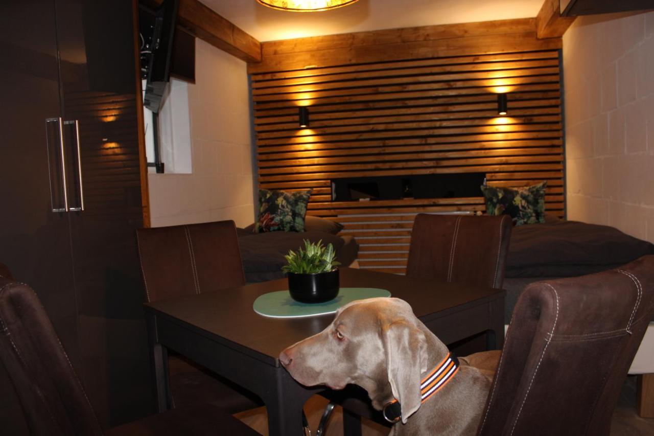 Apartment Kleine Souterrain Naehe Hamburg Neu Wulmstorf